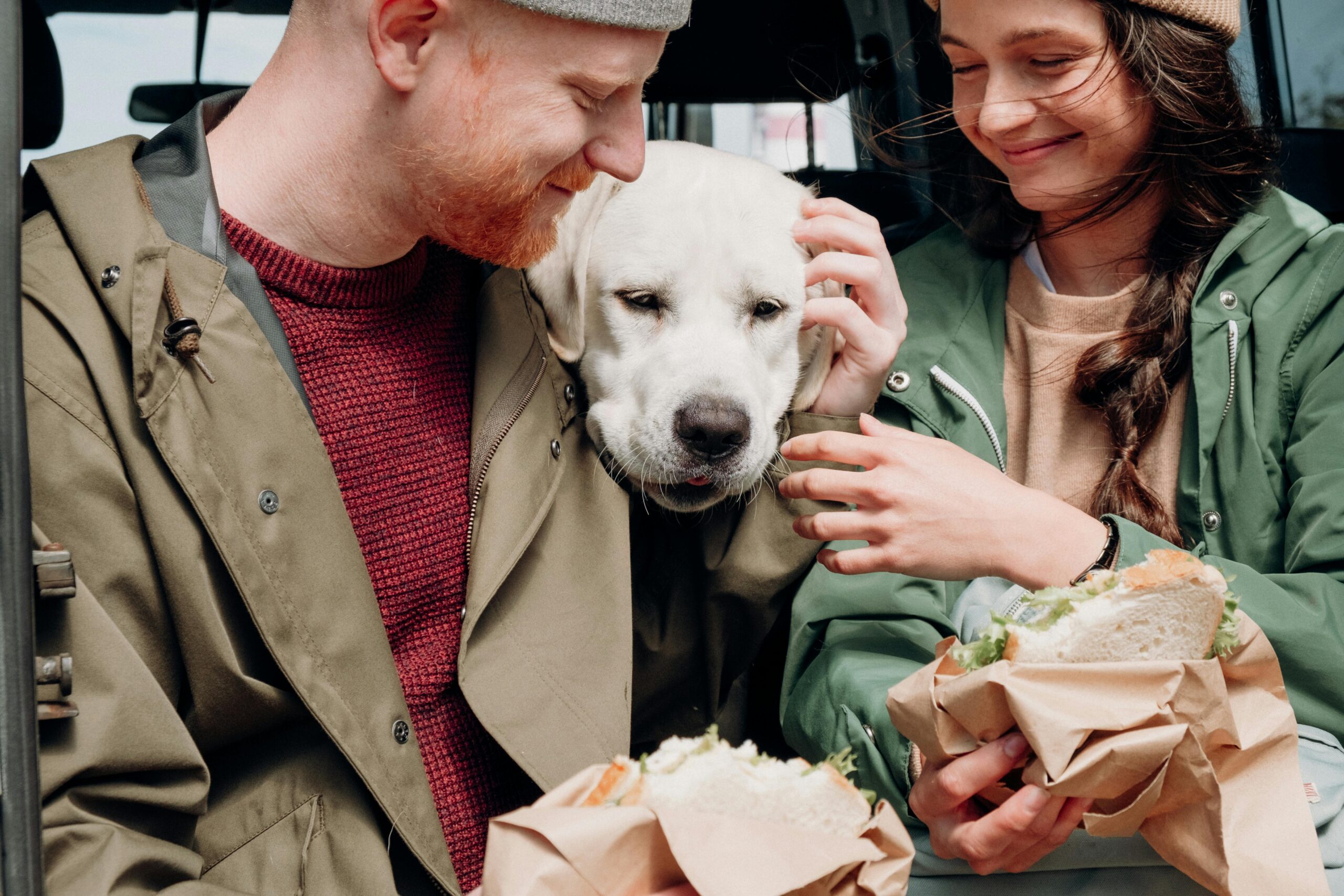 ¿Qué alimentos no pueden comer los perros? Guía para evitar intoxicaciones